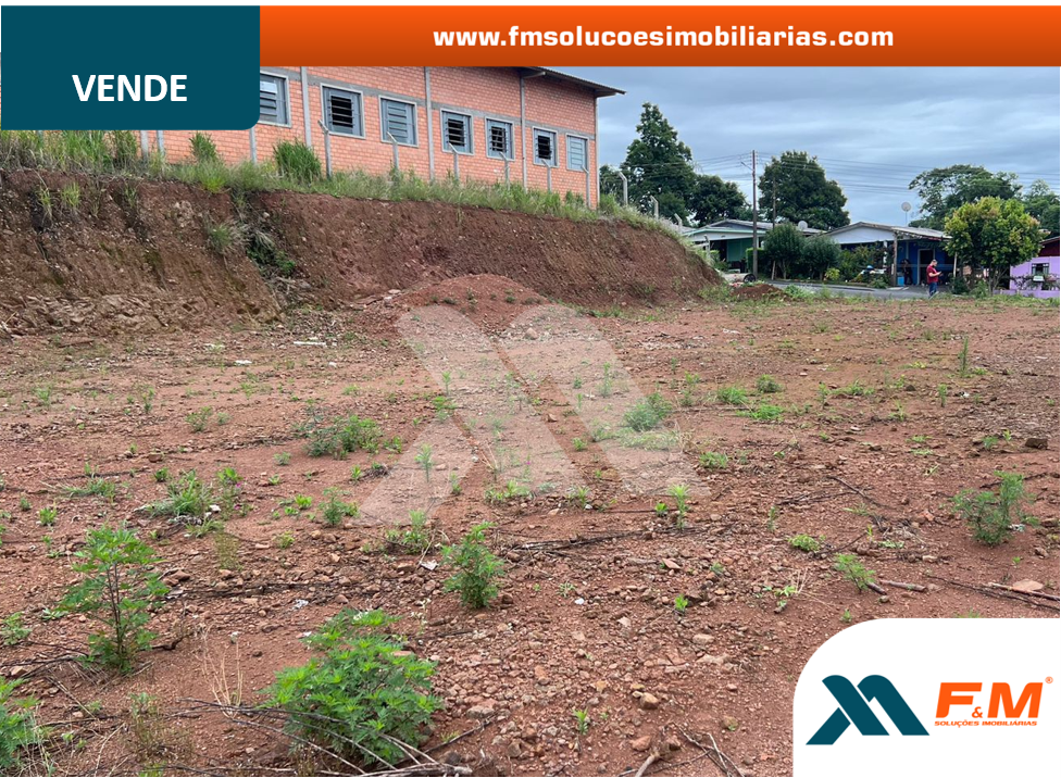 Imagem 3